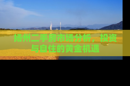 扬州二手房市场分析，投资与自住的黄金机遇