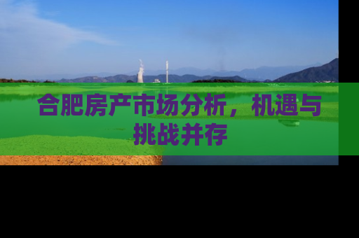 合肥房产市场分析，机遇与挑战并存