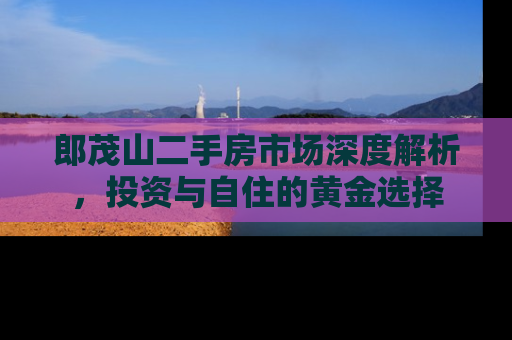 郎茂山二手房市场深度解析，投资与自住的黄金选择