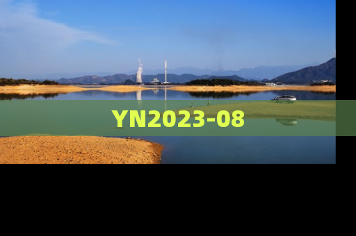YN2023-08