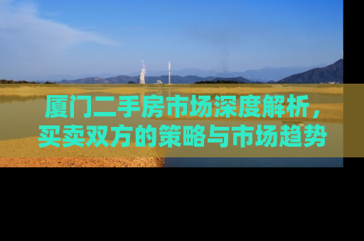 厦门二手房市场深度解析，买卖双方的策略与市场趋势