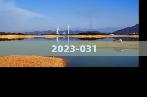 2023-031