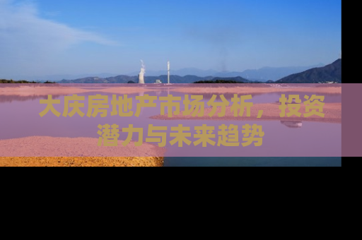 大庆房地产市场分析，投资潜力与未来趋势