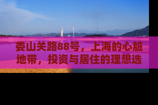 娄山关路88号，上海的心脏地带，投资与居住的理想选择