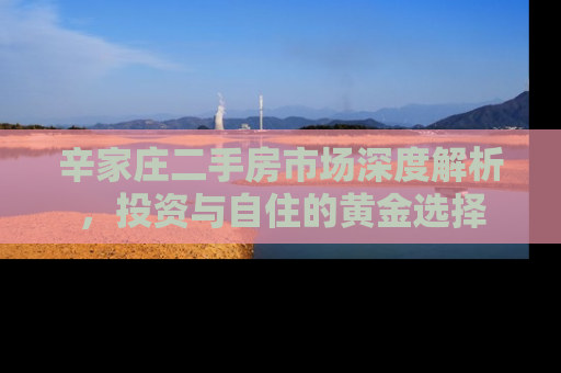 辛家庄二手房市场深度解析，投资与自住的黄金选择