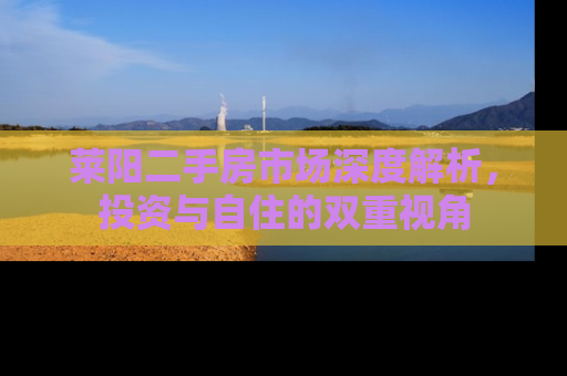 莱阳二手房市场深度解析，投资与自住的双重视角