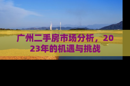 广州二手房市场分析，2023年的机遇与挑战