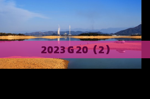 2023Ｇ20（2）