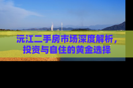 沅江二手房市场深度解析，投资与自住的黄金选择