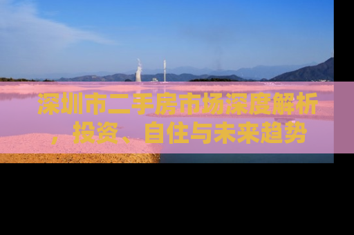 深圳市二手房市场深度解析，投资、自住与未来趋势