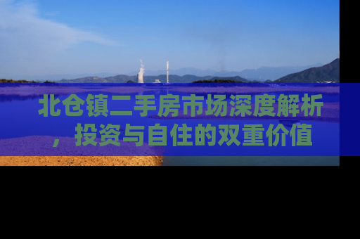 北仓镇二手房市场深度解析，投资与自住的双重价值