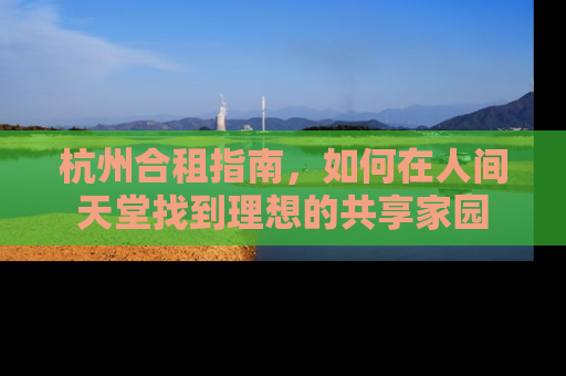 杭州合租指南，如何在人间天堂找到理想的共享家园