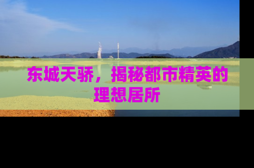 东城天骄，揭秘都市精英的理想居所