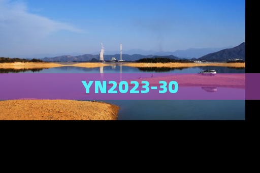 YN2023-30