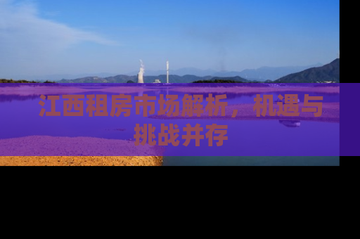 江西租房市场解析，机遇与挑战并存