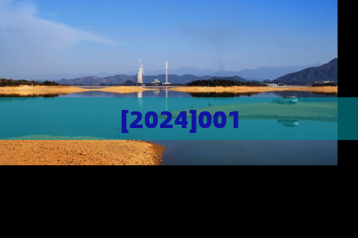 [2024]001