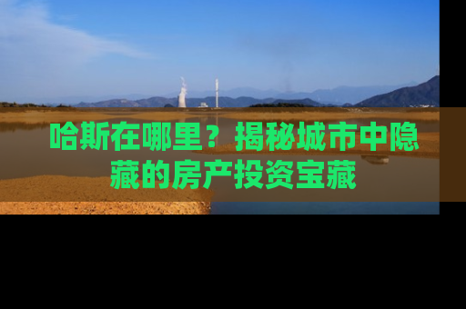 哈斯在哪里？揭秘城市中隐藏的房产投资宝藏