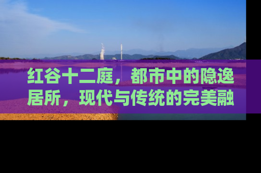 红谷十二庭，都市中的隐逸居所，现代与传统的完美融合