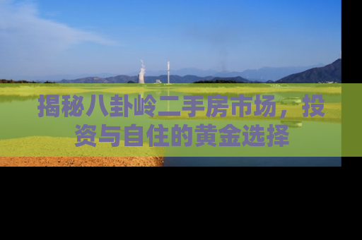 揭秘八卦岭二手房市场，投资与自住的黄金选择