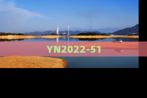 YN2022-51