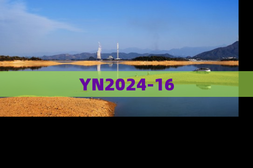 YN2024-16