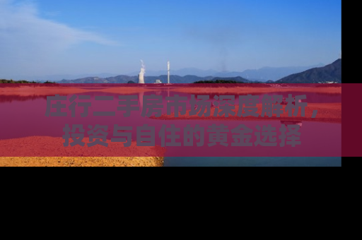 庄行二手房市场深度解析，投资与自住的黄金选择