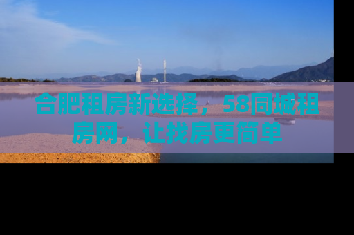 合肥租房新选择，58同城租房网，让找房更简单