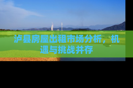 泸县房屋出租市场分析，机遇与挑战并存
