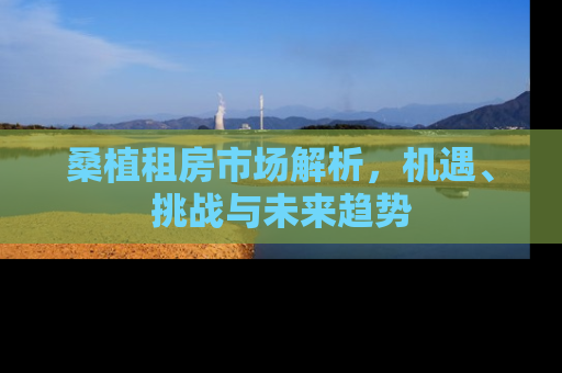 桑植租房市场解析，机遇、挑战与未来趋势