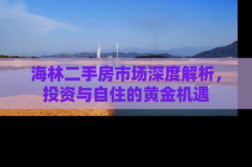 海林二手房市场深度解析，投资与自住的黄金机遇