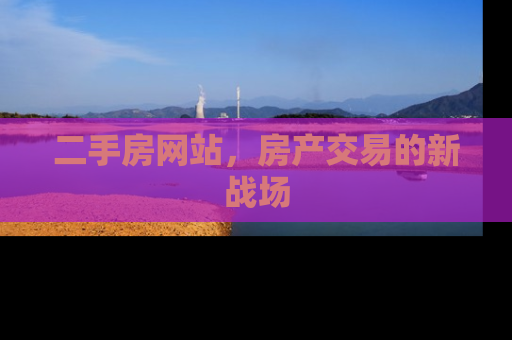 二手房网站，房产交易的新战场