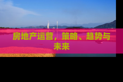 房地产运营，策略、趋势与未来
