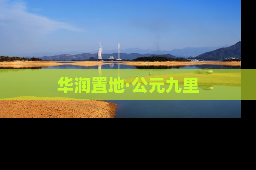 华润置地·公元九里