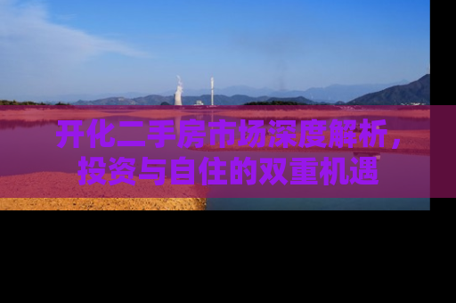 开化二手房市场深度解析，投资与自住的双重机遇