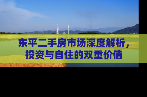 东平二手房市场深度解析，投资与自住的双重价值