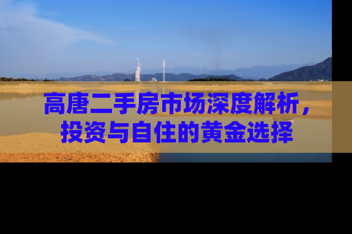 高唐二手房市场深度解析，投资与自住的黄金选择