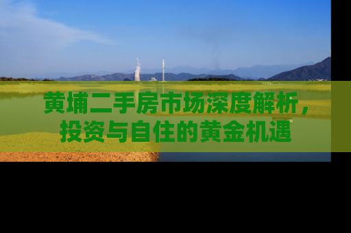 黄埔二手房市场深度解析，投资与自住的黄金机遇