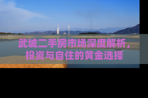 武城二手房市场深度解析，投资与自住的黄金选择