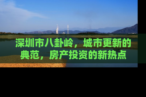 深圳市八卦岭，城市更新的典范，房产投资的新热点