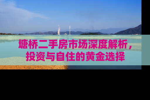 塘桥二手房市场深度解析，投资与自住的黄金选择