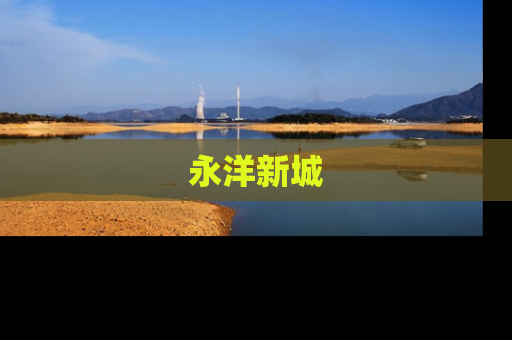 永洋新城