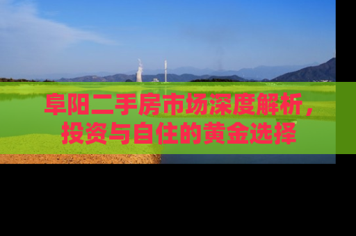 阜阳二手房市场深度解析，投资与自住的黄金选择