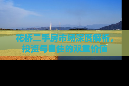 花桥二手房市场深度解析，投资与自住的双重价值