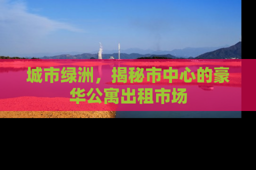城市绿洲，揭秘市中心的豪华公寓出租市场