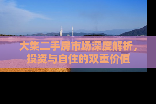 大集二手房市场深度解析，投资与自住的双重价值