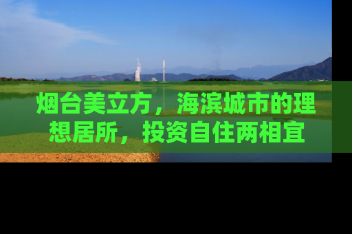 烟台美立方，海滨城市的理想居所，投资自住两相宜