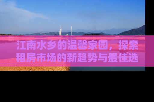 江南水乡的温馨家园，探索租房市场的新趋势与最佳选择