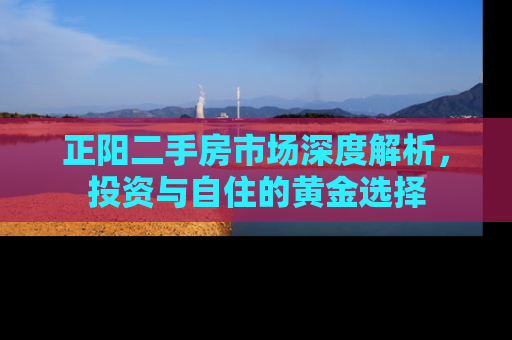 正阳二手房市场深度解析，投资与自住的黄金选择