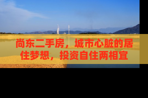 尚东二手房，城市心脏的居住梦想，投资自住两相宜
