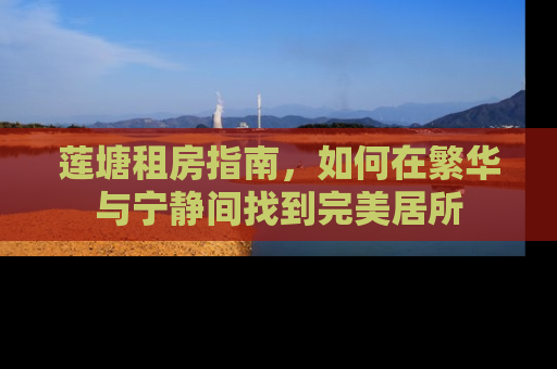 莲塘租房指南，如何在繁华与宁静间找到完美居所
